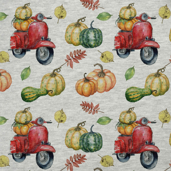 KÜRBISSE AUF DEM SCOOTER (Blätter) (KÜRBISGARTEN) / melange hellgrau