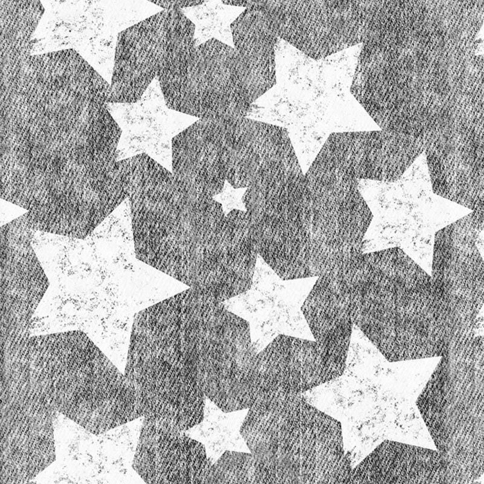 WHITE STARS / vinage look jeans (grey) - softshell