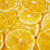 LEMONS - looped knit SP250