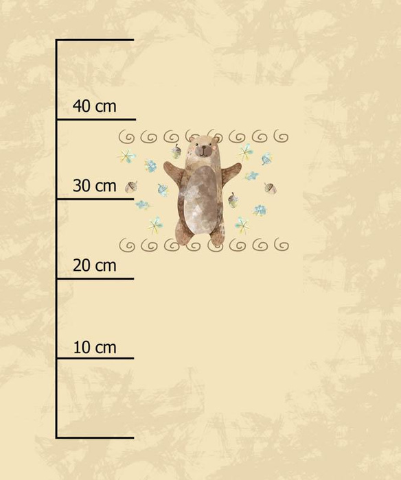 LESNÍ MEDVĚD (LESNÍ ZVÍŘATA) - panel 50cm x 60cm