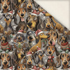 DOGS WZ. 1 / CHRISTMAS - Len 100%