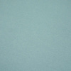 Thick brushed sweatshirt D300 - DUCK EGG BLUE (D-46)