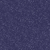 CONSTELLATION OF STARS ( GALAXY ) / dark blue - softshell