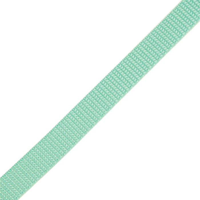 Webbing tape 20mm - MINT