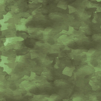 CAMOUFLAGE m. 2 / olive - Hydrophober angerauter Wintersweat