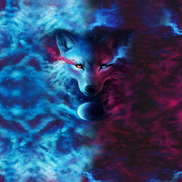 DARK ENERGY - Paneel (60cm x 50cm) Sommerswea tmit Elastan ITY