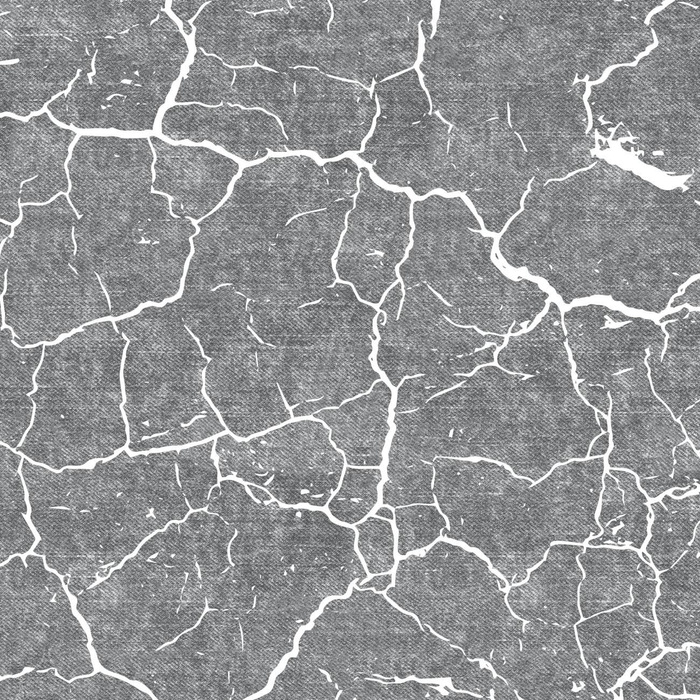 SPĘKANA ZIEMIA (biała) /  ACID WASH (szary) - softshell