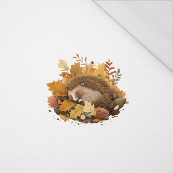 SLEEPING HEDGEHOG - PANEL (40cm x 40cm) ORGANICZNY SINGLE JERSEY