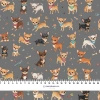 CHIHUAHUA DOGS - Minky plush