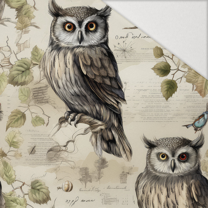 PASTEL BIRDS WZ. 4 (EULEN) - Hydrophober angerauter Wintersweat
