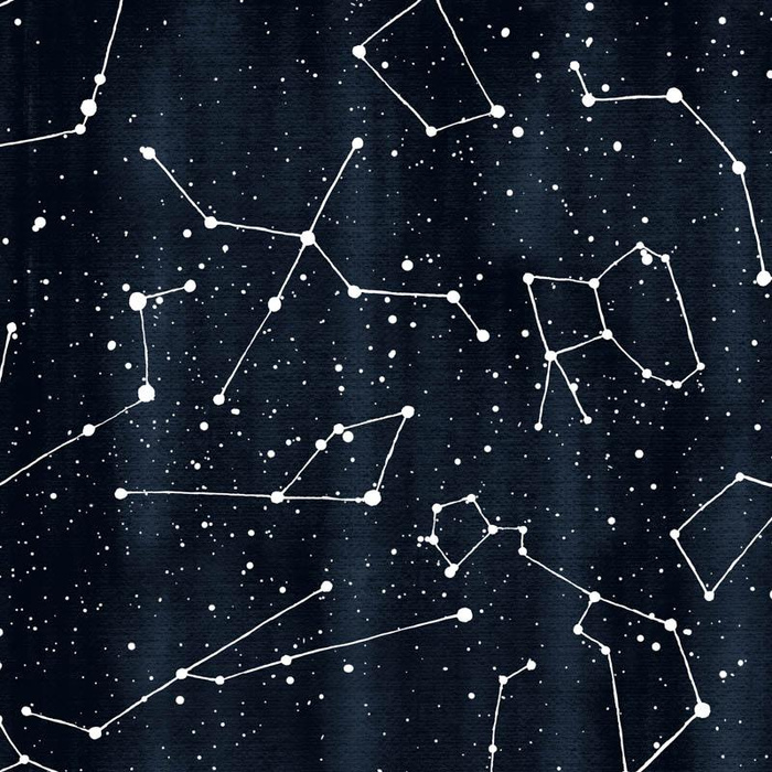 KONSTELLATIONEN M.2 (GALAKTISCHE TIERE) / navy - Baumwoll Webware