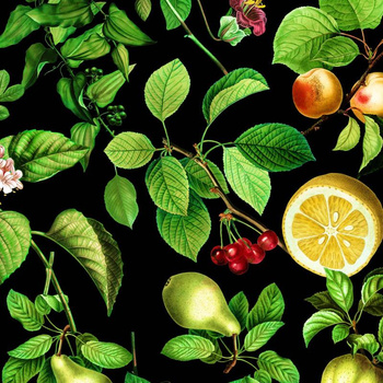 PARADISE FRUITS pat. 3 (PARADISE GARDEN)