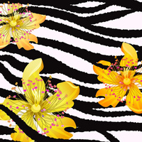 STRIPED VANILLA - lycra 300g