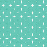 FIRST STAR / patina - Cotton woven fabric