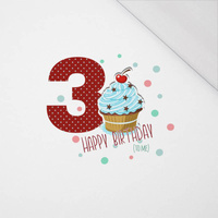 3ST BIRTHDAY / MUFFIN - SINGLE JERSEY PANEL