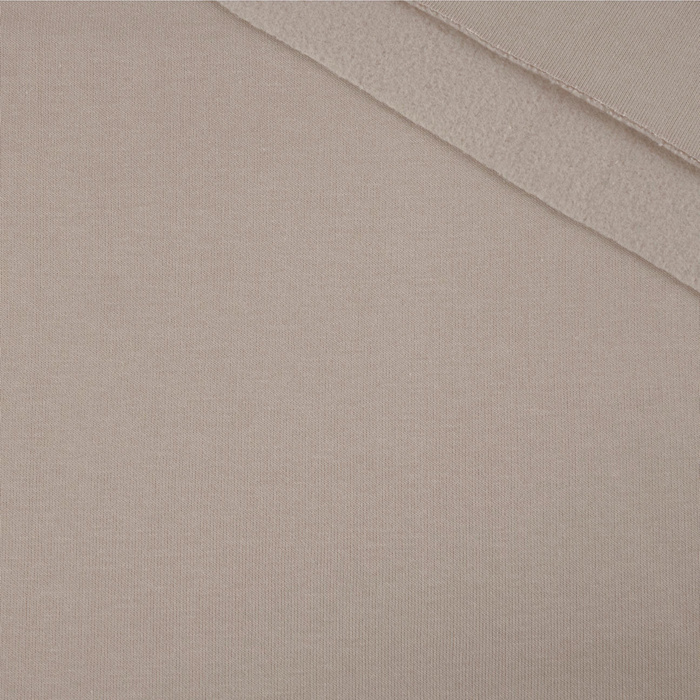 Thick brushed sweatshirt D300 - GREIGE LIGHT (D-40)