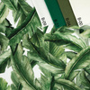 BANANA LEAVES pat. 3 (JUNGLE) - Panama 220g