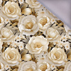 FLOWERS - Cloud Dancer WZ.4 - softshell