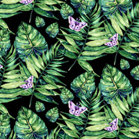 MINI LISTY A HMYZ VZ. 4 (TROPICKÁ PŘÍRODA) / černý