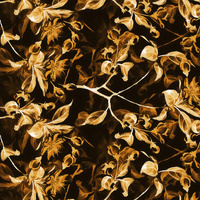APFELBLÜTE Ms. 1 (gold) / schwarz - Krepp