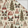 GNOMES CHRISTMAS WZ.1 - dresówka pętelkowa
