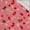 TUTTI FRUTTI WZ. 43- Wintersweat angeraut mit Elastan ITY