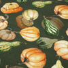 KÜRBISSE UND ZUCCHINI / olive (KÜRBISGARTEN) - Single Jersey