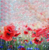 MOHNBLUMEN Ms. 1 - Paneel Sommersweat 