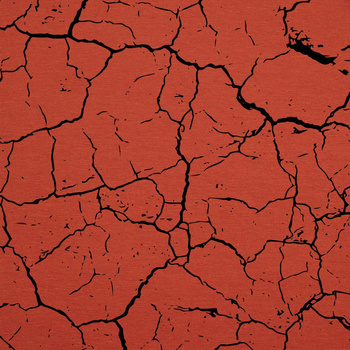 VERBRANNTE ERDE (schwarz) / B-28 - ziegel