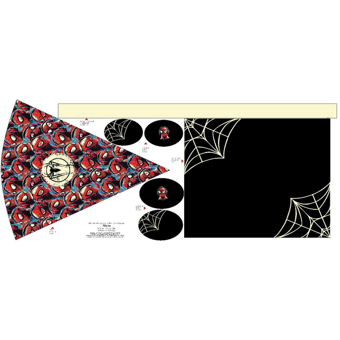 First Grade Candy Cone - SPIDER - small