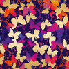 BUTTERFLIES / colorful - Hydrophobic brushed knit