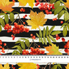 VOGELBEEREN  - Hydrophober angerauter Wintersweat
