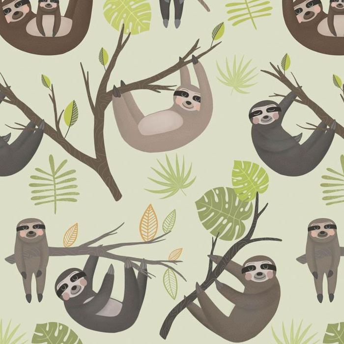 SLOTHS / mosteras (SLOTHS) / pistazie - softshell