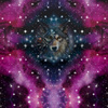 WOLF / AQUARELL GALAXIE MS. 8 - Paneel (60cm x 50cm) SINGLE JERSEY ITY