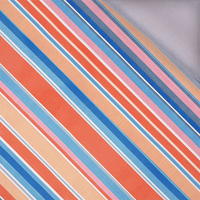 RETRO GEOMETRIC WZ. 10 - softshell