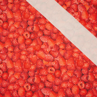 HIMBEEREN - schnelltrocknende Webware