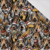DOGS WZ. 1 / CHRISTMAS - single jersey