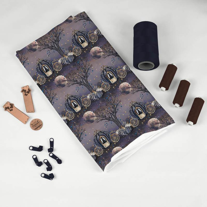 ENCHANTED CARRIAGE (ENCHANTED NIGHT) - softshell