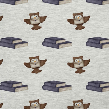 EULEN / Bücher (ZAUBERSCHULE) / M-01 melange hellgrau