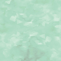 CAMOUFLAGE pat. 2 / mint