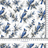 WINTER GARDEN WZ. 8 - single jersey