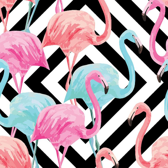 FLAMINGOS - bio single jerset mit Elastan TE210 Sommersweat