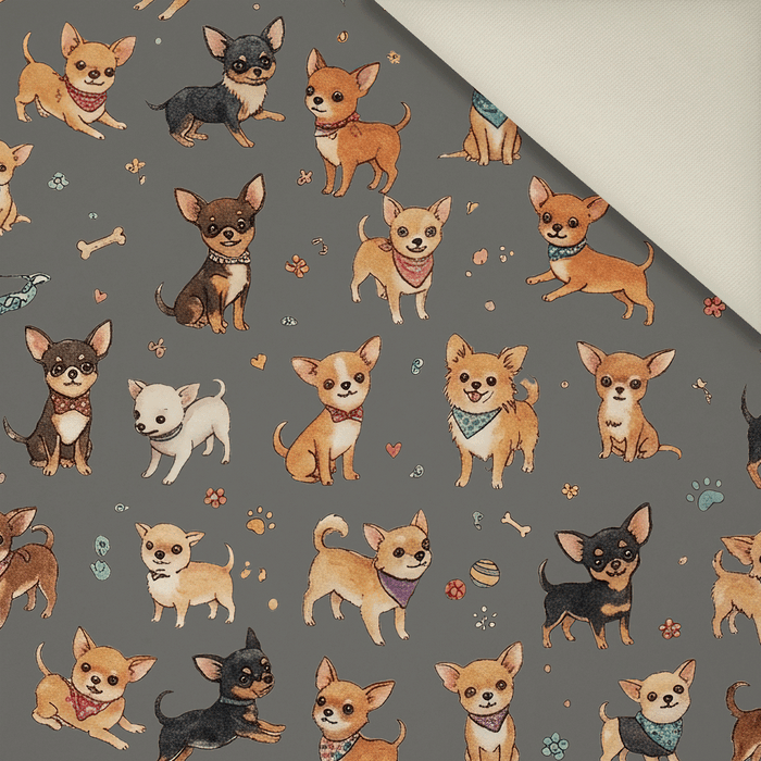 CHIHUAHUA DOGS - Welur tapicerski