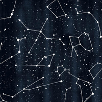 KONSTELLATIONEN M.2 (GALAKTISCHE TIERE) / navy- Polster- Velours