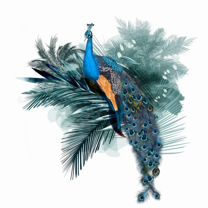 WATERCOLOR PEACOCK - panel (75cm x 80cm) teplákovina