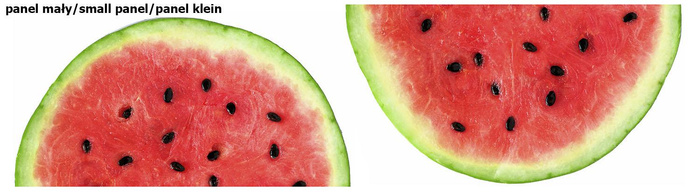 WASSERMELONE - Tellerrock-Panel 