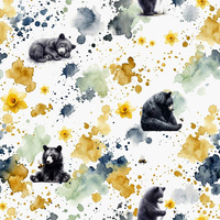 BEAR WZ.1