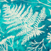 VANILLA FERNS - single jersey with elastane TE210