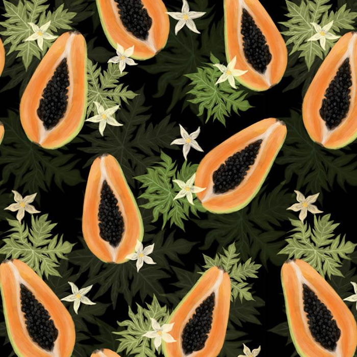 PAPAYA / schwarz - Badeanzug Lycra