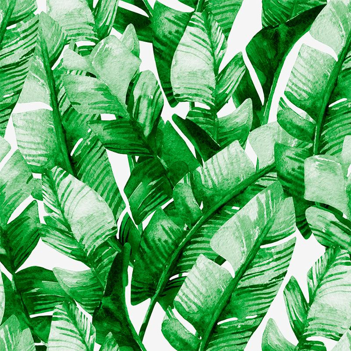 BANANA LEAVES wz.2